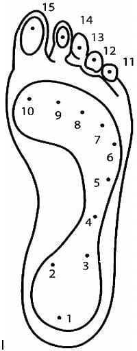 Foot Pressure Points for Pressure sensing in Foot Pressure Sensor - Linepro Controls Pvt Ltd